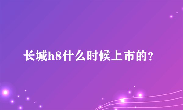 长城h8什么时候上市的？