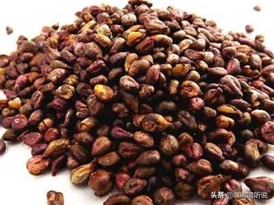 葡萄籽怎么吃?