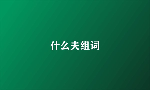 什么夫组词