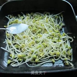 素炒豆芽菜