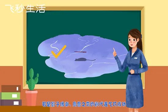 七夕节的习俗