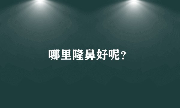 哪里隆鼻好呢？