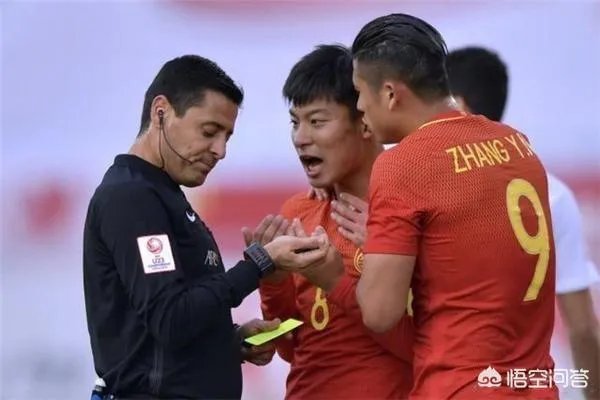 法加尼和德国