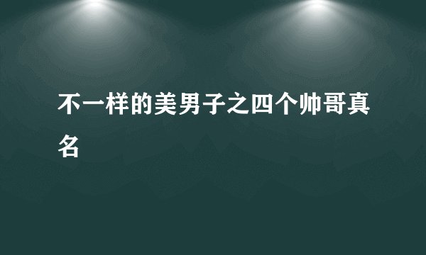 不一样的美男子之四个帅哥真名