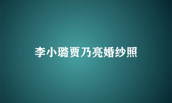 李小璐贾乃亮婚纱照