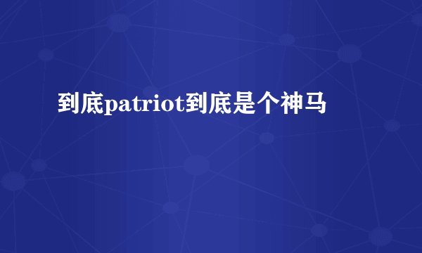 到底patriot到底是个神马