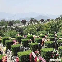 有人买房存骨灰,你的“邻居”可能是盒骨灰,对此你怎么看?