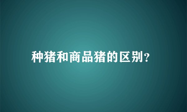 种猪和商品猪的区别？