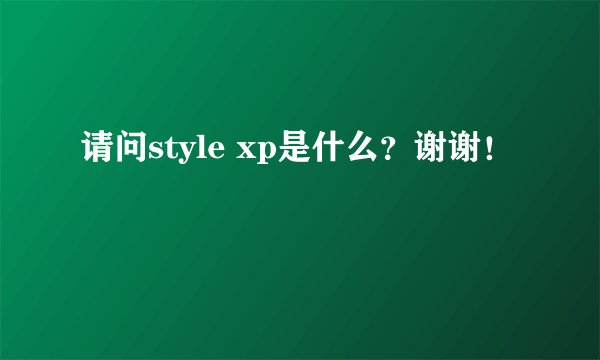 请问style xp是什么？谢谢！