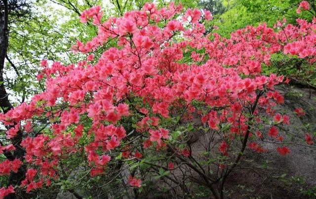 日照五莲山风景区怎么样,值得一去吗?