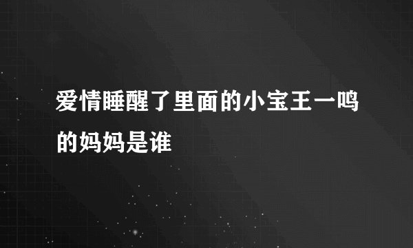 爱情睡醒了里面的小宝王一鸣的妈妈是谁