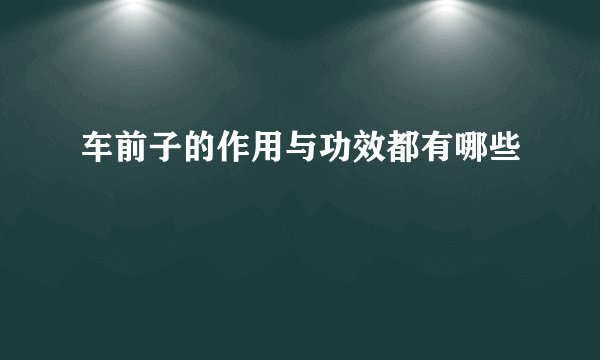 车前子的作用与功效都有哪些