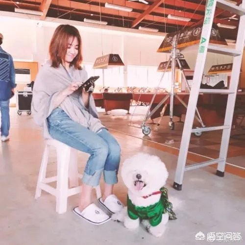 你觉得哪家电视台的2019年元旦跨年晚会最好看?