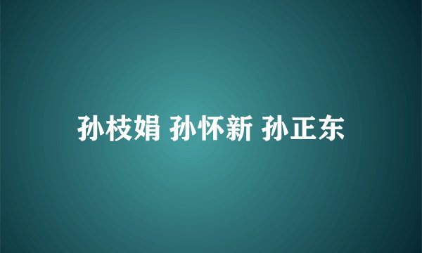 孙枝娟 孙怀新 孙正东