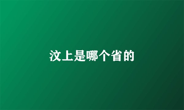 汶上是哪个省的
