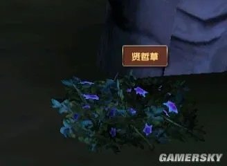 《模拟人生:中世纪》草药种类及分布图