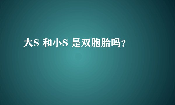 大S 和小S 是双胞胎吗?