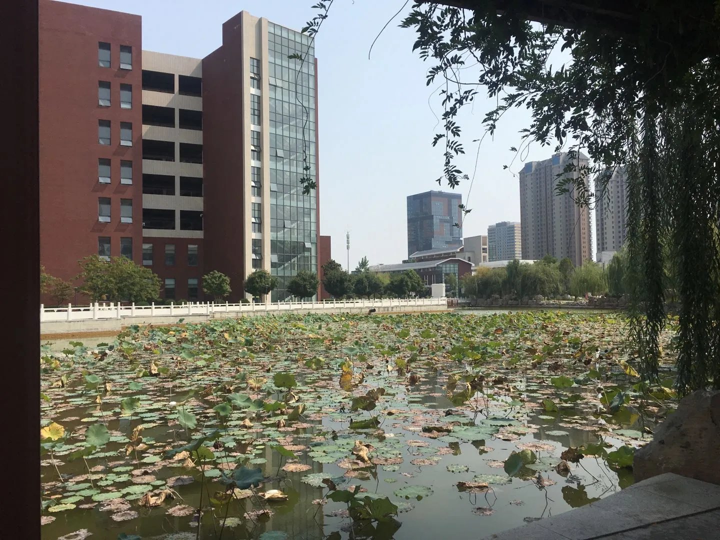 济宁一中