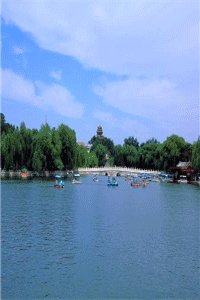 快乐8的快乐飞盘怎么买呀？