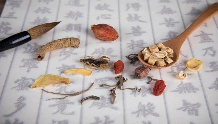 五贝子是什么