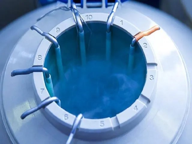郑州精子库医院名单揭晓,能申请供精的机构都在这