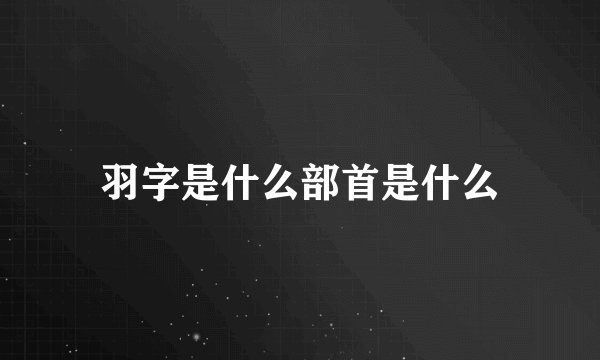 羽字是什么部首是什么