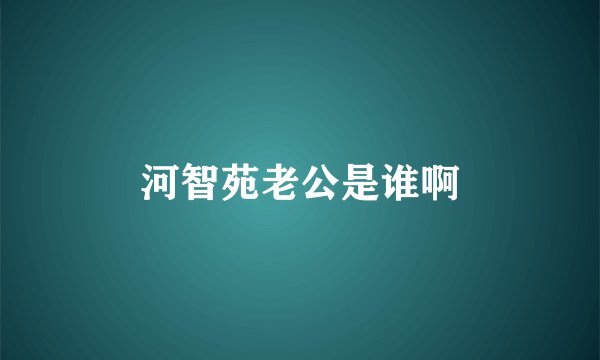 河智苑老公是谁啊