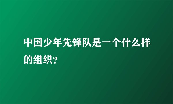 中国少年先锋队是一个什么样的组织？