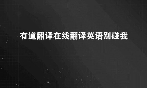 有道翻译在线翻译英语别碰我