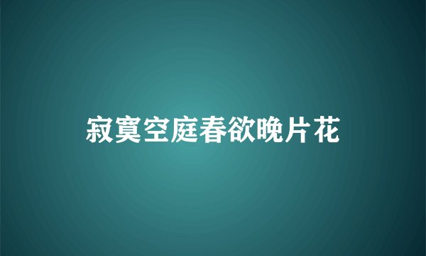 寂寞空庭春欲晚片花