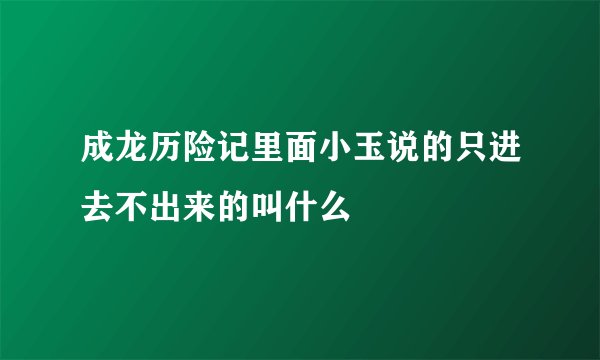 成龙历险记里面小玉说的只进去不出来的叫什么