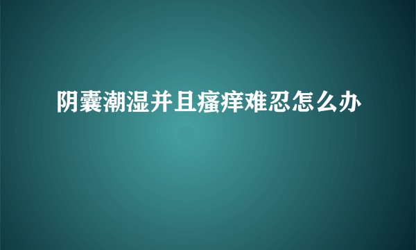 阴囊潮湿并且瘙痒难忍怎么办