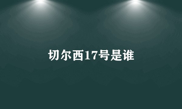 切尔西17号是谁