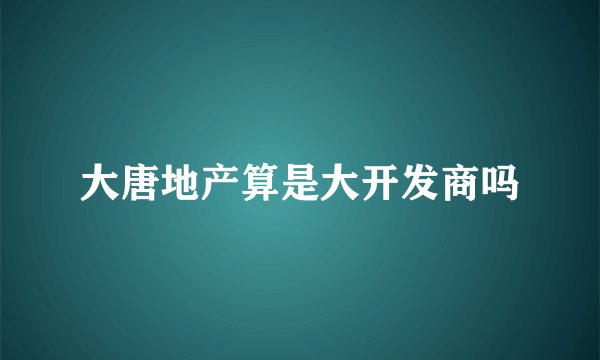 大唐地产算是大开发商吗