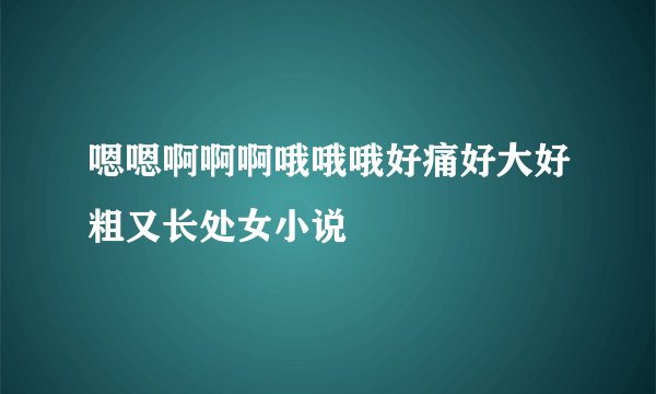 嗯嗯啊啊啊哦哦哦好痛好大好粗又长处女小说
