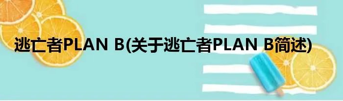 逃亡者PLAN B(关于逃亡者PLAN B简述)