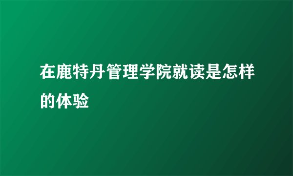 在鹿特丹管理学院就读是怎样的体验