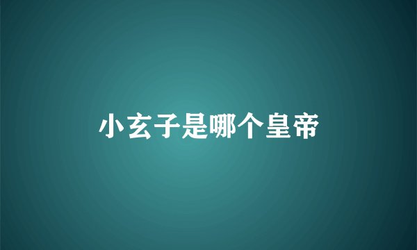 小玄子是哪个皇帝