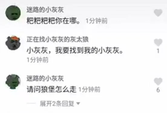 迷路的小灰灰是什么梗