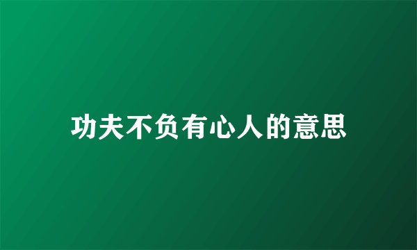 功夫不负有心人的意思
