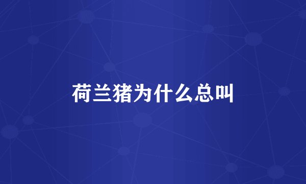 荷兰猪为什么总叫