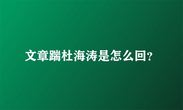 文章踹杜海涛是怎么回？