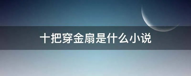 十把穿金扇是什么小说