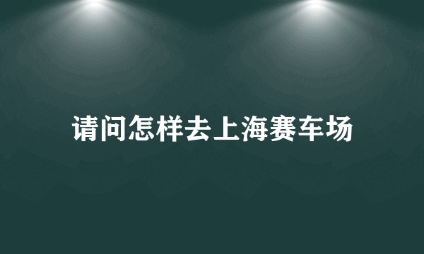 请问怎样去上海赛车场