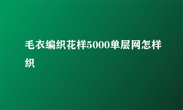 毛衣编织花样5000单层网怎样织