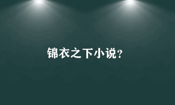 锦衣之下小说？