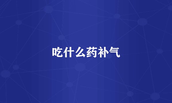 吃什么药补气