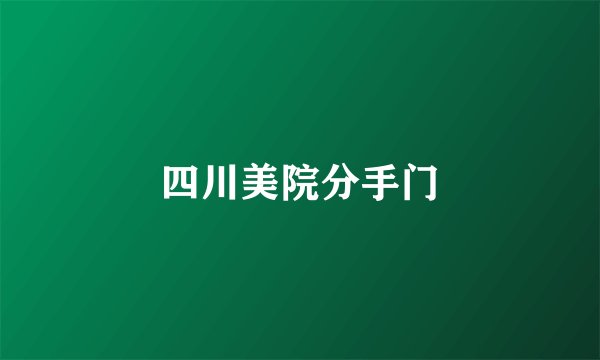 四川美院分手门