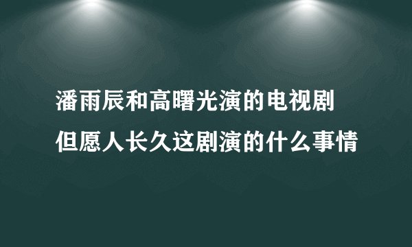 潘雨辰和高曙光演的电视剧 但愿人长久这剧演的什么事情