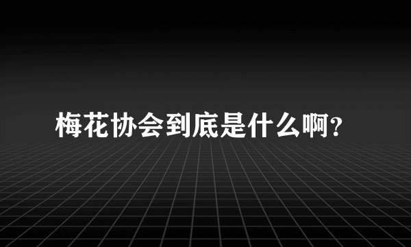 梅花协会到底是什么啊？